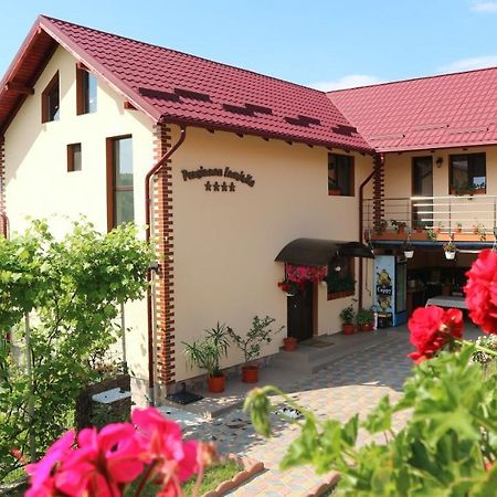 Pensiunea Luminita Mustatesti Екстериор снимка