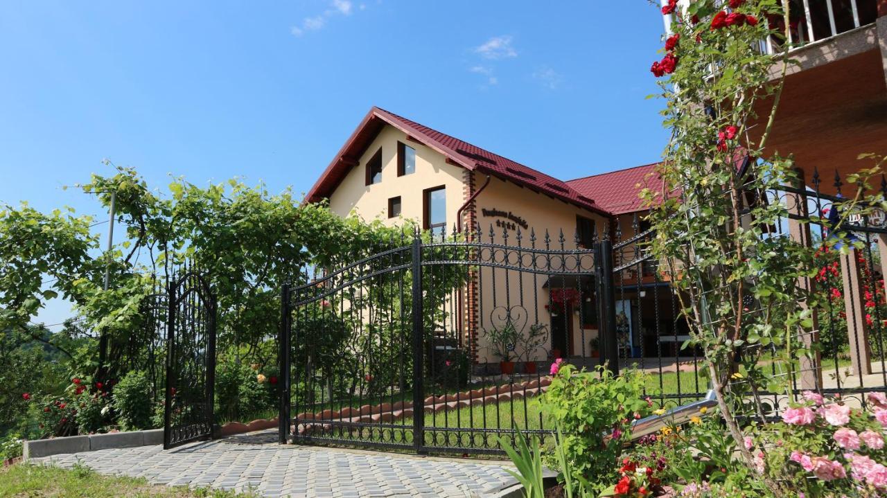Pensiunea Luminita Mustatesti Екстериор снимка