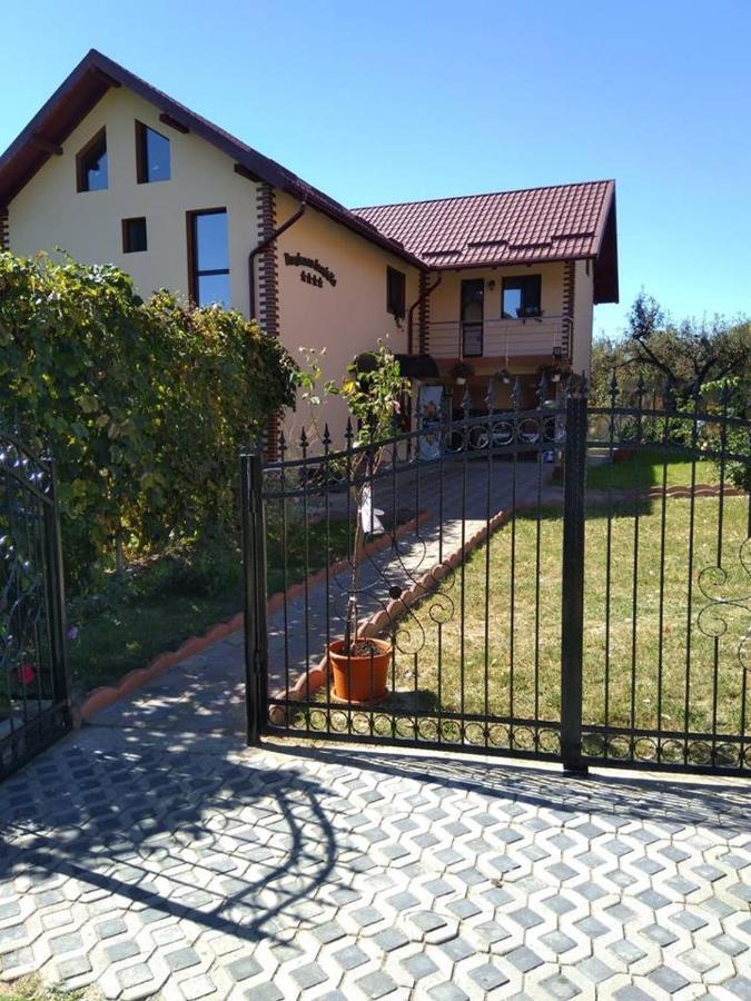 Pensiunea Luminita Mustatesti Екстериор снимка